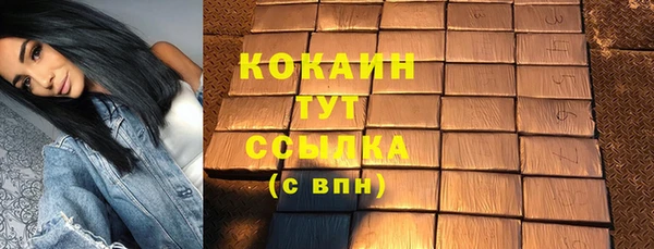 спиды Няндома