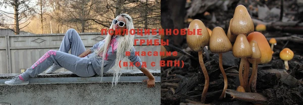 ешки Нягань
