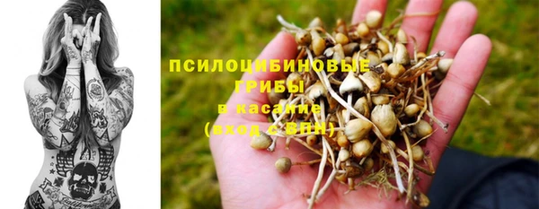 спиды Няндома